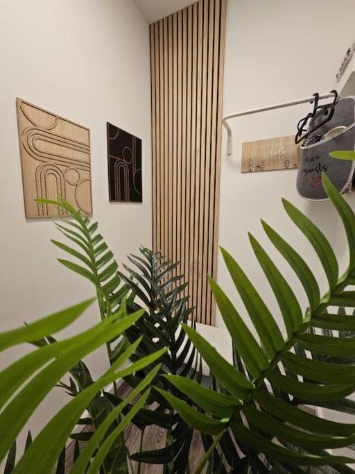 Affordable In Vienna's Hotpoint Wien
